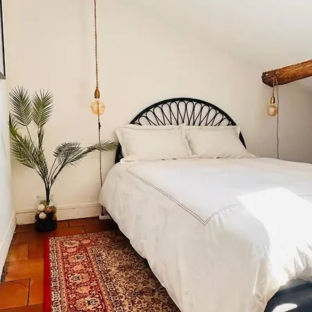Apartment Your Getaway In Center Toulouse